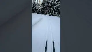 Живописная трасса в Новосибирске.