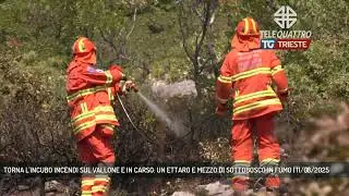 TORNA L'INCUBO INCENDI SUL VALLONE E IN CARSO: UN ETTARO E MEZZO DI SOTTOBOSCO IN FUMO | 11/08/2025