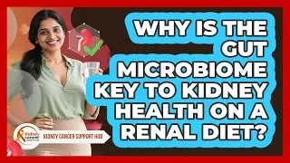 Why Is The Gut Microbiome Key To Kidney Health On A Renal Diet? - Kidney Cancer Support Hub