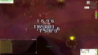 ROPH EXE: Knight vs Phreeoni MVP (Thor server)