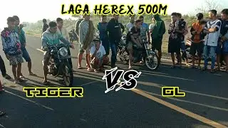 GL VS TIGER | LAGA 500M PEMULA