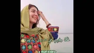 Pashto New tapay | Shazadgai | Sofia Kaif | whatsapp status