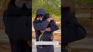 Трогательные моменты, когда спасенные животные узнают своих спасителей после многих лет разлуки.