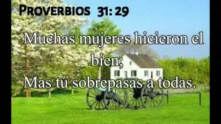 PROVERBIOS 31: 29 y 30