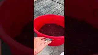 鱼换万物，换的是陌生人之间的关怀，让交换充满人情味，而非斤斤计较得失#钓鱼的乐趣只有钓鱼人懂 #钓鱼是抖音第一休闲运动 #钓鱼 #钓鱼人就是这么疯狂