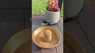 #shortvideo#Naazhi is the smallest of the measuring vessels  in Kerala.# ഇതാണ് മക്കളെ നാഴി