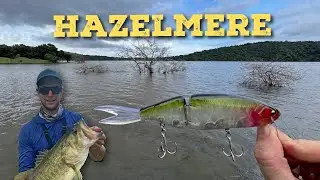Fishing a flooded lake | Swimbaits Only