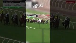 Gold Trip WINS The Turnbull Stakes 🐎🏆 #horseracing #goldtrip