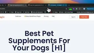 Publish Code Blocks & Shortcodes from Google Docs to WordPress (No Formatting Hassles)