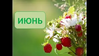 ПРОГНОЗ НА ИЮНЬ 3 июня 2023&nbsp;г.
