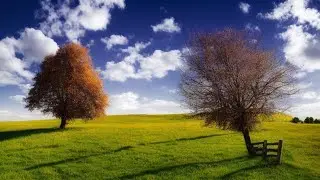 Creating Miracles In Your Life Meditation
