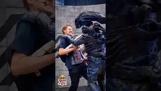 Xenomorph Encounter Alien Cosplay #shorts #aliens #alien #cosplay #xenomorph