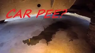 Is your Car PEEING? Fix that before WINTER!