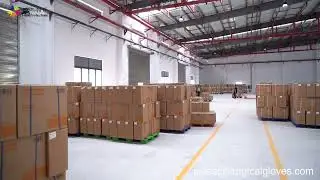 China Top 1 Surgical Gloves Manufacture,Latex Surgical Gloves Warehouse