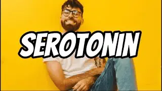 Nic D - Serotonin (Lyrics)