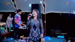 SELENDANG BIRU - BRISA CACA // NC PRO MUSIC LIVE TEGALREJO // S3 AUDIO - CINEMA MULTIVISION
