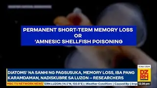'Diatoms' na sanhi ng pagsusuka, memory loss, iba pang karamdaman, nadiskubre sa Luzon &mdash; Researchers