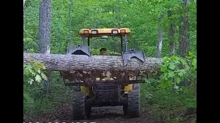 Dealing with a Stubborn Tree