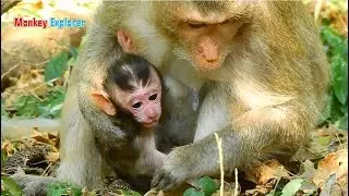 Newborn baby & her skinny mom Duchess are very good health/ Newborn baby is very alerted & adorable.