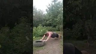 Упражнения на мышцы кора,рук,плеч,спины,ног #shorts #workout #fitness #calisthenics #subscribe #abs