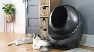 Top 3 Best Litter Boxes Reviews