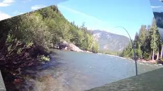 Off to the Side  - a typical wild steelhead on the Dean River