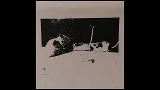 The Frampton Brothers  - Frampton Brothers Bootleg Tape