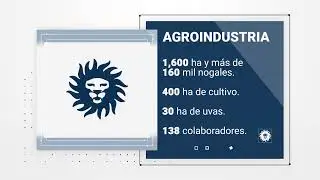 Learn about everything that is Grupo Bafar - Bafar International