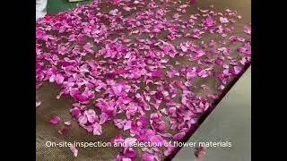 Dried Rose Petal