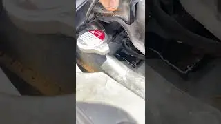 Radiator Cap Problem Honda Civic #automobile #mechanic #automotive #automechanic #shorts