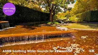🍃 ASMR Soothing Water Sounds for Relaxation #RelaxedJourneys #ASRM #4K