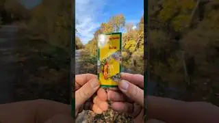 Unboxing & Catching a Bluegill with the Cheapest!? ($.1.25 👀) Crankbait Lure from Walmart | ASMR