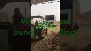 wheat straw bundles loading