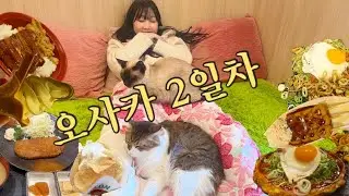 곤 오사카 여행 2일차 🇯🇵 #OSAKA #교토 | 도톤보리, 교토, 후지나미당고, 행자교, 치보 오코나미야끼, 모토무라 규카츠