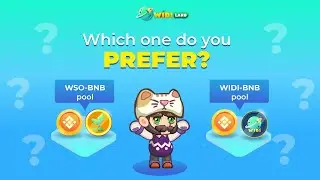 HOW TO PLAY WIDILAND FOR BEGINNERS 4