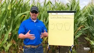 JJ in the Field: Have You Checked For Dents In Your Ears? Corn That Is...