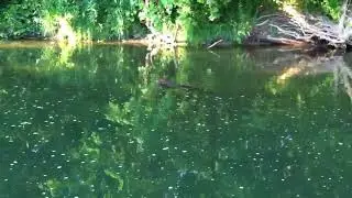 Blacklick Creek