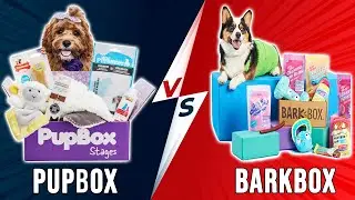 Pupbox vs BarkBox- Which box should you choose? (The Ultimate Comparison)