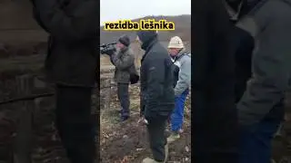 Rezidba le&scaron;nika, žbunasta forma,edukacija uživo #pruning #plum #agriculture #agro