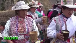 CAMILE DE COPORAQUE - SEMBRIO 2015