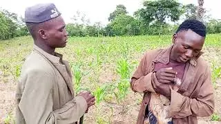 NGOSHA MSUKUMA NA MARIOO WA KIHA