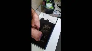 ADA Mini M 19 л 1 этап 25.10.2020 DENNERLE DEPONITMIX PROFESSIONAL BLACK 10IN1