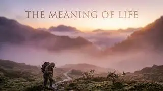 A Quiet Lesson on the Meaning of Life