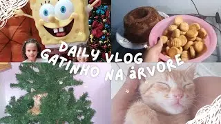 BOLO & SALGADOS| GATINHO NA &Aacute;RVORE DE NATAL| SHOPPING