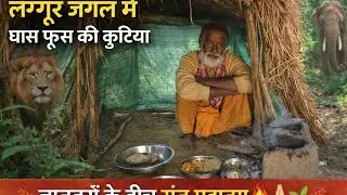 चित्रकूट के बिहड जगल के बीच सत्त महतमा भकति सधना मे जहां पनडो के बीच जगल मे वहाँ आता था शेर,,, 