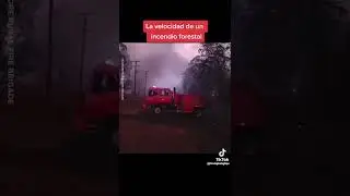 La impresionante velocidad de un incendio forestal!