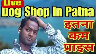 Dog Collection Patna | Patna Dog Shop | Low Price Dog