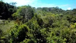 Tiro Laser