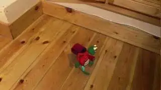Hogry's Sock Adventure
