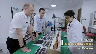 &iexcl;Espada de la dinast&iacute;a Han de hace m&aacute;s de 2.000 a&ntilde;os!